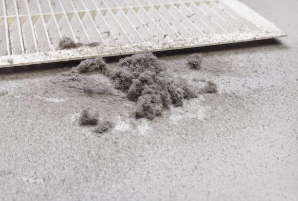 Best Best Air Duct Cleaning Company  in Fairmont, MN