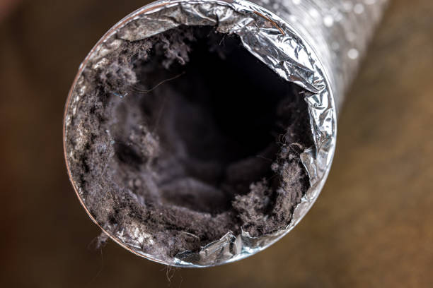 Best Home Air Vent Cleaning  in Fairmont, MN